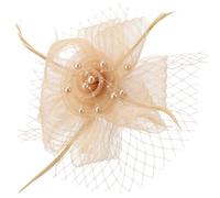 DRESHOW Fascinators Hat Flower Mesh Ribbons Feathers with Forked Clip Cocktail Tea Party Headwear for Girls and Women