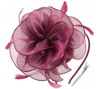 DRESHOW Fascinators Hat for Women Cocktail Tea Party Headwear Flower Mesh Ribbon Feathers Headband
