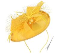 DRESHOW Flower with Single Arrow Feather Fascinators Hat Headband and a Forked Clip Bridal Headwear Derby Fascinator Pillbox Hat Headdress for Girls & Women