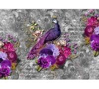 Dress My Craft Transfer Me Sheet A4-Queen Peacock