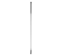 Dressage riding crop Imperial Riding Regal Shine