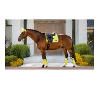 Dressage saddle pad LeMieux Loire Classic