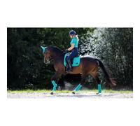 Dressage saddle pad LeMieux Loire Memory