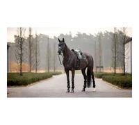 Dressage saddle pad LeMieux Puissance Suede