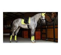 Dressage saddle pad LeMieux Suede
