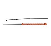 Dressage Whip Döbert