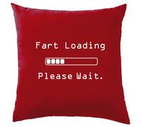 Dressdown Fart Loading - Please Wait - Cushion/Pillow (with Insert) - 41 x 41cm (16)" - Red - One Size