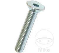 DRESSELHAUS Pack 100 countersunk head screws M8X40 MM