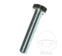 DRESSELHAUS Pack 100 hexagonal screws 5 933