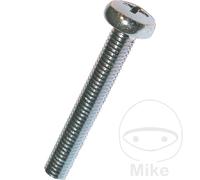 DRESSELHAUS Pack of 100 pan head screws M6 7985