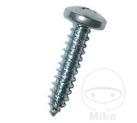 DRESSELHAUS Pack of 100 sheet metal screws 4.8 7981