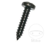 Dresselhaus 6040/051 4.8 X 25 Mm Screw Kit Silver