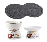 DRESSOOS 1 Set Porcelain Bowl Tall Grain Basin Spill Cat Bowls Tilted Cat Cage Catnip Double No-spill Feeder Cage Pet Litter Raised Kitten Play Feeders High Control Ceramics