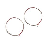 DRESSOOS 2pcs Professional Pipa Strings Replacement for Chinese Lute Musical Instrument Practice Accessory Crisp Sound Rich Overtones for Beginners and Musicians