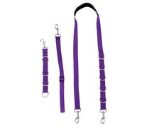 DRESSOOS 3pcs Pet Grooming Kit Dog Bathing Set Grooming Loop Leash Heavy Duty Dog Tie Out Cable for