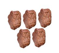 DRESSOOS 5Pcs Artificial Meat Simulation Beef Block Model Realistic Fake Food Prop for Kitchen Decor Home Display and Restaurants PVC Construction Safe Creative Design