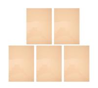 DRESSOOS 5pcs Orange Pvc Color Gels for Lights, Light Diffuser Film Sheets, 5 Sheets Pack for Photography and Studio Lighting Colour Correction Filters