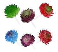 DRESSOOS 6pcs Artificial Succulent Plants Bundle Lifelike Pvc Material and Vivid Appearance, Highly Simulated Mini Desktop Decorations for Office and Photo Props Random Color