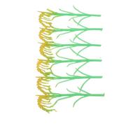DRESSOOS 6pcs Realistic Rice Plant Model Crops for Dioramas Plastic Miniature Agriculture Plants with High Simulation Craftsmanship for Model Railroad Scenery and War Gaming Scenery