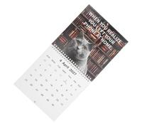 DRESSOOS Funny Cat Calendar 2027 for Cat Lovers, Small Wall Calendar with Two-wire Binding, Whimsical Paper Design, Monthly Planning for Home and Workspace