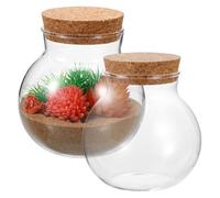 DRESSOOS Glass Ecological Bottle with Cork Lid, 2Pcs Round Airtight Glass Jars for Indoor Succulent Plants, DIY Micro Landscape, Bedroom and Living Room Decoration, 10X11Cm