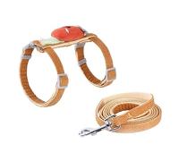 DRESSOOS Leash Fun and Creative Carrot Design Outdoor Pet Walking Rope for Medium-small Cats Kitten Set