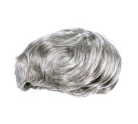 DRESSOOS Men's Synthetic Wig Short Grey Straight Center Parting Ideal for Halloween and Parties