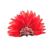 DRESSOOS Plumage Headband for Women Carnival Headdress Colorful Boas Headpiece Showgirl Headdress Event Accessory