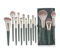 DRESSOOS Professional Makeup Brush Kit 14-piece Set Wood Handle Cosmetics Brush Case No Shedding Ideal for Daily Learning Makeup