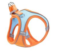 DRESSOOS Puppy Vest Leash Cat Leash Breathable Reflective for Pets for Daily Walks and Weekend Outings Stylish and Comfortable Pet Supply