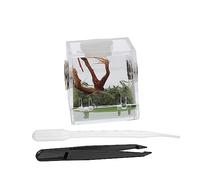 DRESSOOS Small Acrylic Spider Breeding Case for Florida Jumping Spiders Reptile Feeding Box Ventilation and Easy Access Home Supply for Insect and Care