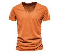 Dressy Sale of Clearance Bamboo T-Shirts for Men UK Fashion Solid Color Work Tee Shirt Casual Slim Fit V Neck Blouse Basic Muscle Fit Short Sleeve t Shirts for Men Adult Essentials