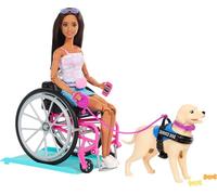 Dresz Barbie, Boneca Articulada com Cadeira de Rodas, Cão de Serviço e Acessórios