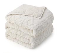 Drewin Weighted Blanket 15lbs Queen Size, Soft and Thick Jacquard Sherpa Heavy Blanket for Calming and Relax, Dual Sided Ultra Soft Fuzzy Throw Blanket with Ceramic Beads, 60 x 80 inches, Cream White