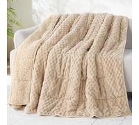 Drewin Weighted Blanket for Adults Queen Size 15lbs, Soft Fuzzy Turtleback Sherpa Weighted Blankets for Sleeping, Cozy Fluffy Heavy Blanket for Couch Bed, 60 x 80 inches, Beige
