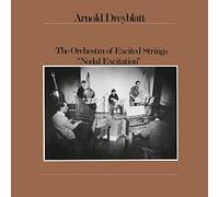 Dreyblatt,Arnold - Nodal Excitation [VINYL]