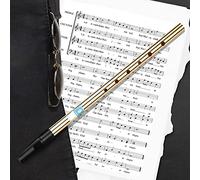 Drfeify Traditional Irish Tin Whistle in C, Steel and ABS Construction, 6-Hole Design with Mellow Sound for Beginner Musicians (Key of D)