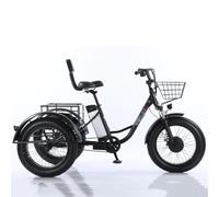 DRFGHK 20'' Ricycle for Adults (3 Speed), Fat Tire Off Road Tricycles, Adult 3 Wheeled Bikes, Shopping Basket (20''X9''X12''), 48V/12Ah Removable Battery