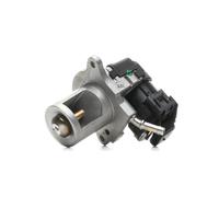 DRI 717730146 EGR valve