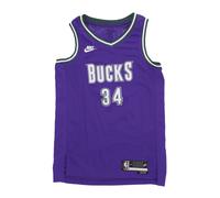 Dri-FIT Swingman Jersey Hardwood Classics - male - Nike - Training - Purple - 2XL - Sport 2XL
