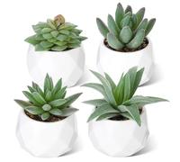 Dribotway Set of 4 Artificial Succulent Plants Mini Fake Succulents Plants Artificial Potted for Home Garden Office and Outdoor Decor (Green)