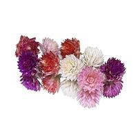 Dried Amaranth Pom Pom Mix Edible Flowers