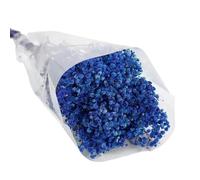 Dried Baby's Breath Flower Natural Dry Babies Breath Gypsophila For Home Decoration Wedding Bouquets Flower Arrangements Wreath Making