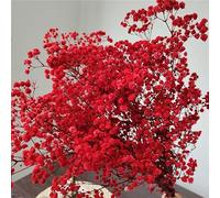 Dried-Babys-Breath-Flowers-Bouquet, 17.2In 2500+ Red Flowers, Natural Gypsophila Branches for Wedding, Gift for Mother Friends, Dry Flowers Bulk for Vase, Home Party Decor, DIY Wreath Floral(3Oz Red)