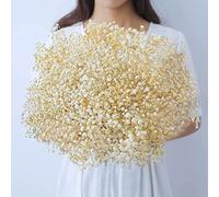 Dried-Babys-Breath-Flowers-Bouquet-17 inch 2500+ Ivory White Flowers, Natural Gypsophila Branches for Wedding, DIY Home Party Decor, Table Vase Decor for Parents, Friend, Children (3oz)