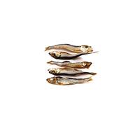 Dried Baltic Sprats 500g Fish For Dogs 100% Natural Products Dried Sprats For Dogs