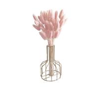 Dried Bunny Tail Flower Natural Rabbit Tail Dried Flower Bouquet Pampas Grass Decor Dried Rabbit Tail Grass Dried Flower Bouquet for Home Decor 50PCS 50 cm Light Pink
