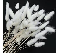 Dried Bunny Tails Flowers, Pampas Grass Boho Bouquet Dried Bunny Tails Dry Flowers for Vasefor for Your Home, Bedroom, and Living Room Decor (White)