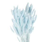Dried Bunny Tails Pampas Grass - 24" Pale Blue