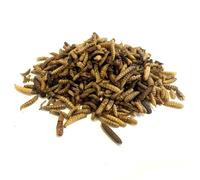 Dried Calciworms 1kg Premium Wild Bird & Hedgehog Food LDPW